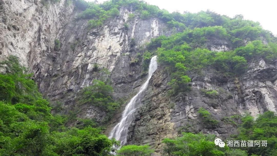 饥饿的松鼠救援